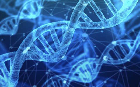 strategic-alm-process