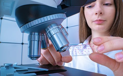 system-upgrades-improve-profits