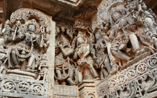 pexels-prashanth-u-13009639 1